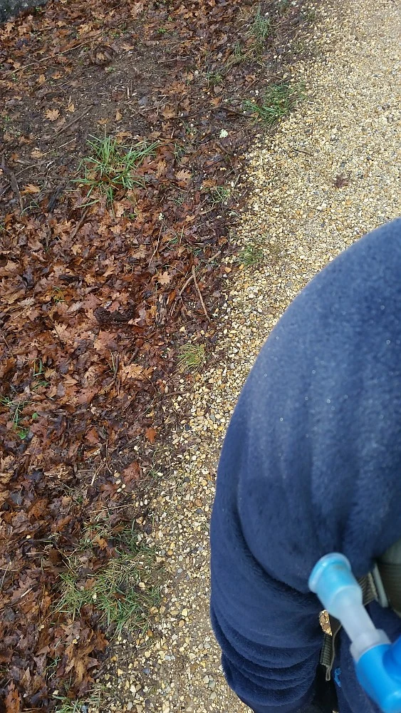 Patagonia R3 Jacket - Image 13